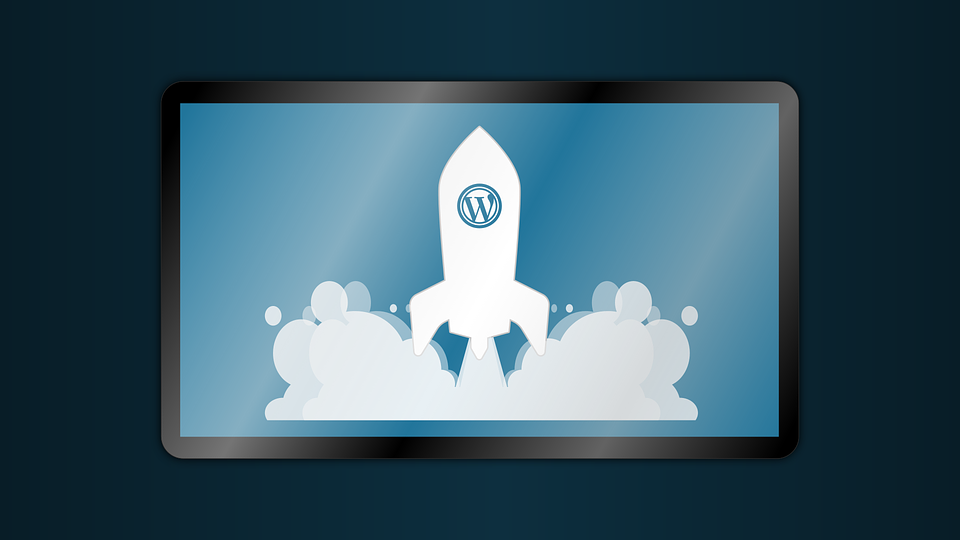 WordPress Plugin Development