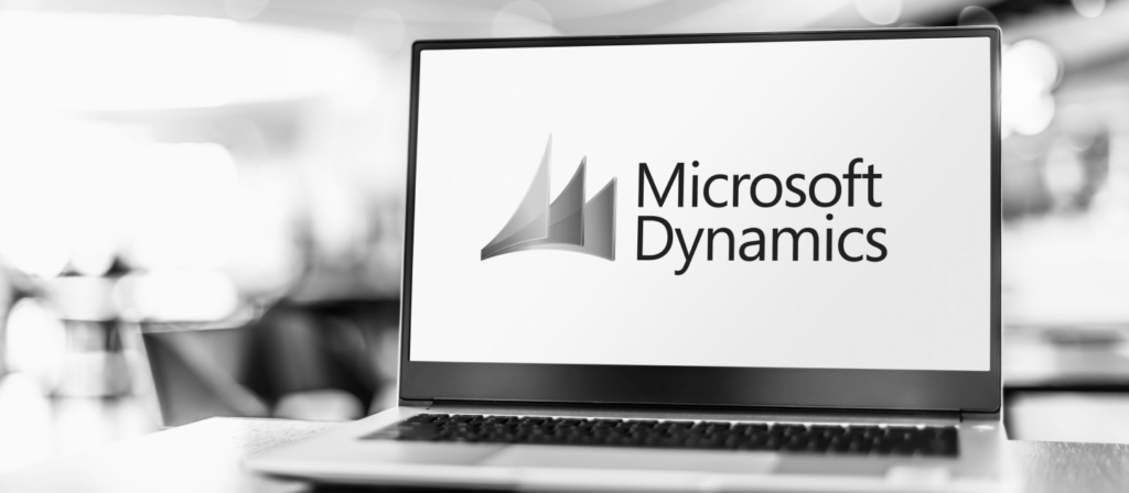 microsoft dynamics services